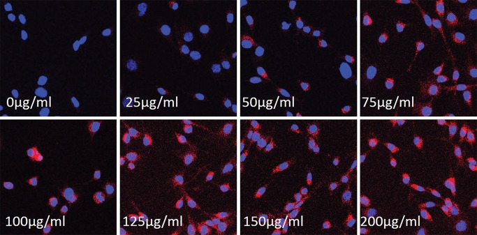 Figure 1: