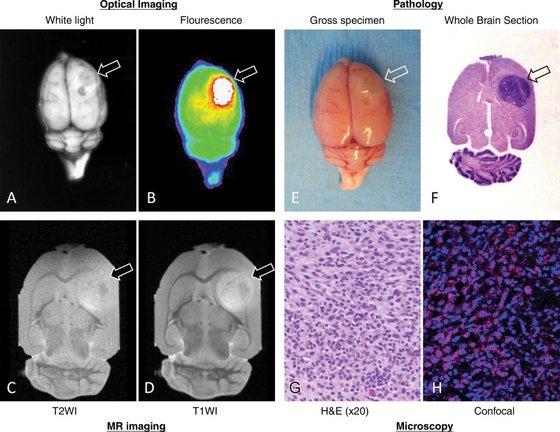 Figure 4: