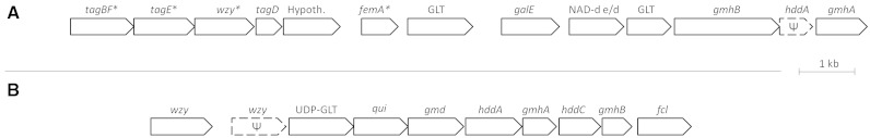 Fig. 5.—