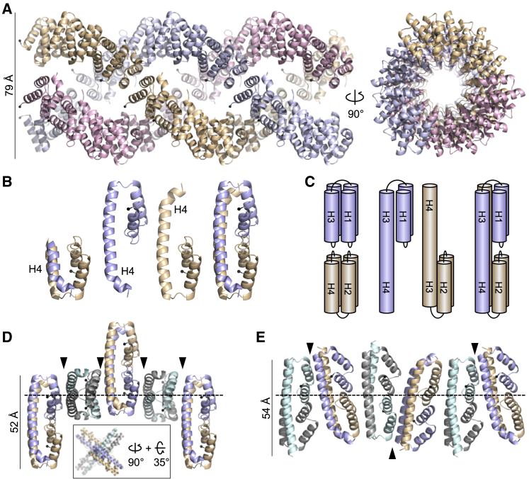 Figure 5