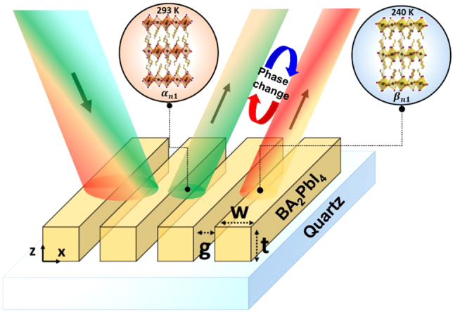 Figure 1: