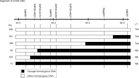 Fig. 1