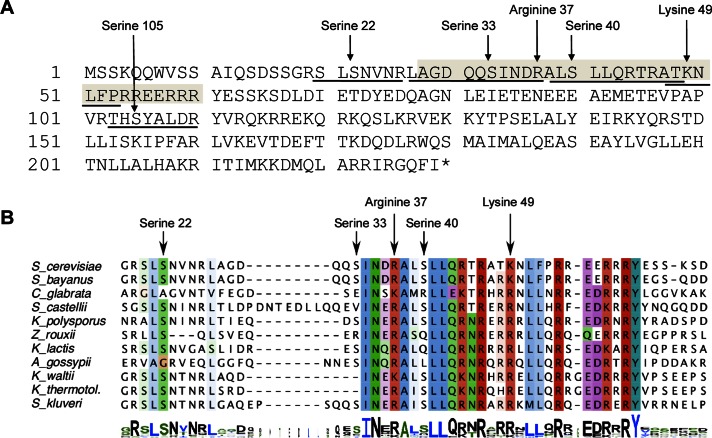 FIGURE 1: