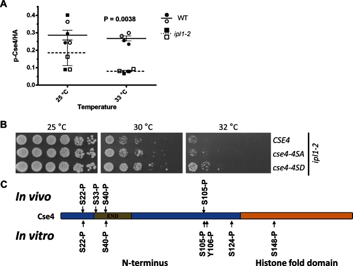 FIGURE 3: