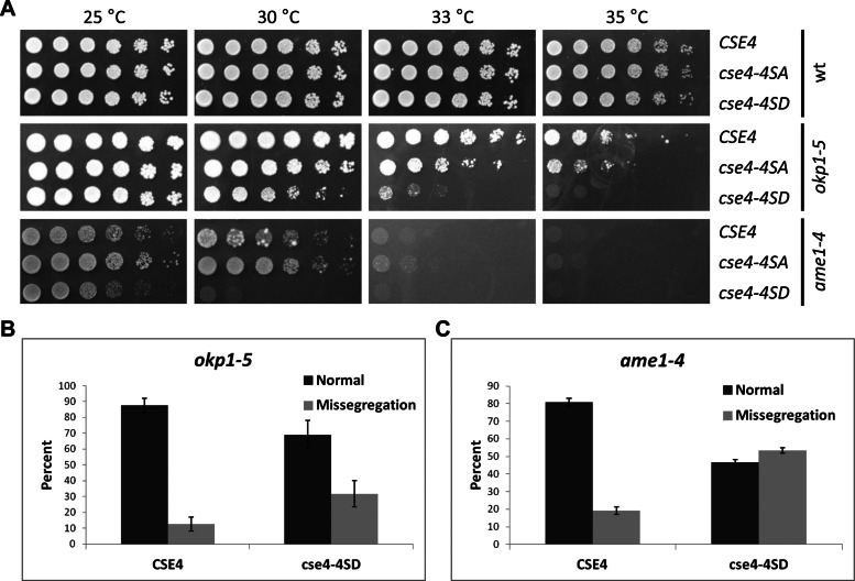 FIGURE 5: