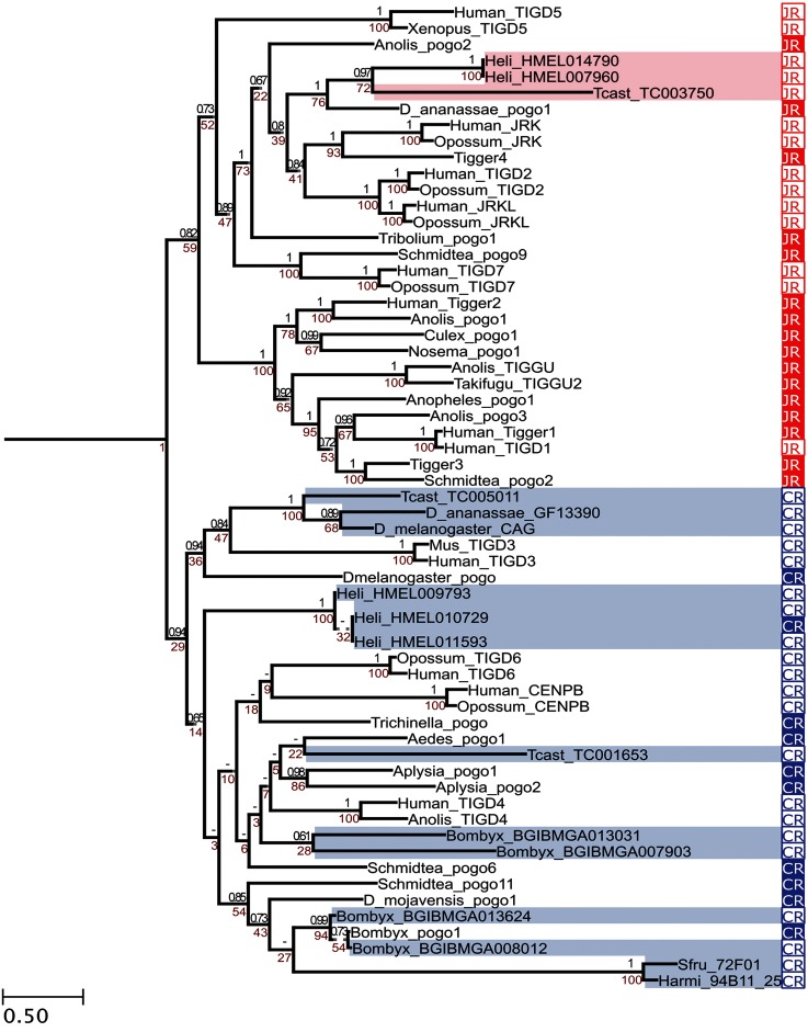 Fig. 3.—