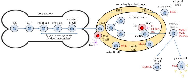 Figure 1.