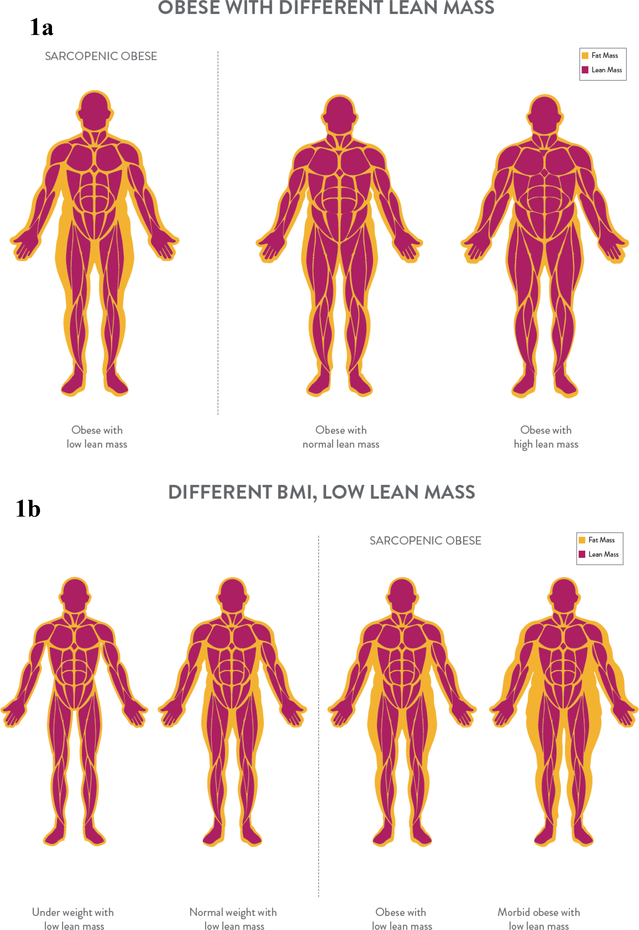 Figures 1a and 1b.