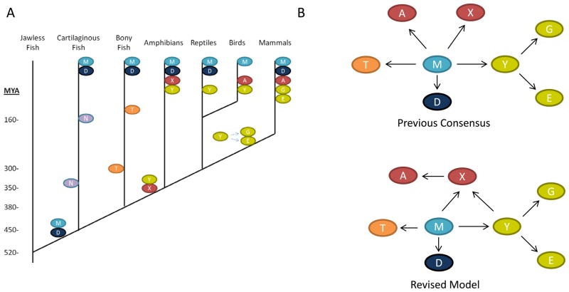 Figure 7