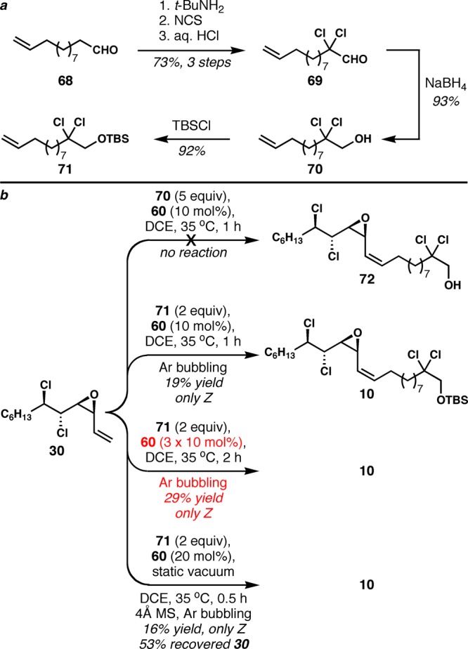 Scheme 12