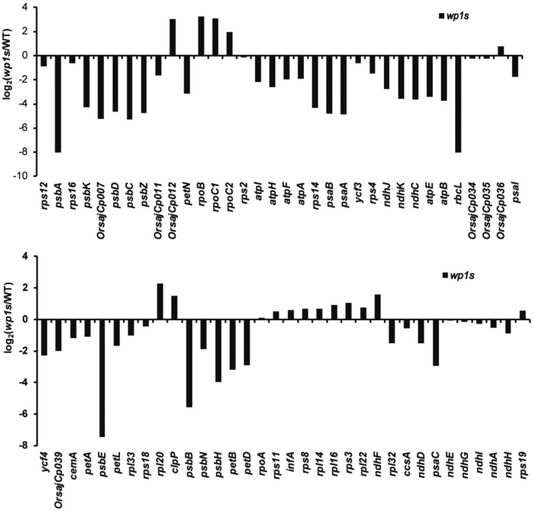 Figure 6.