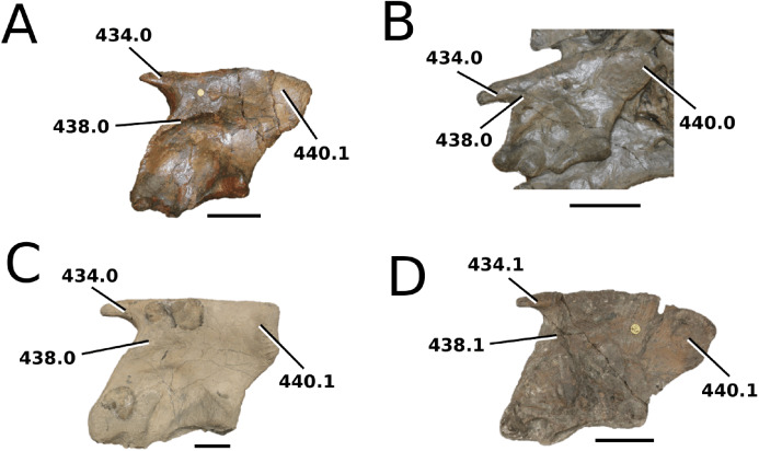 Figure 46