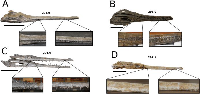 Figure 38