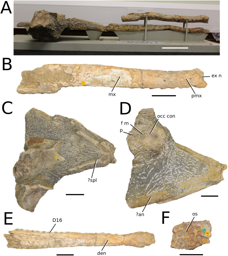 Figure 21