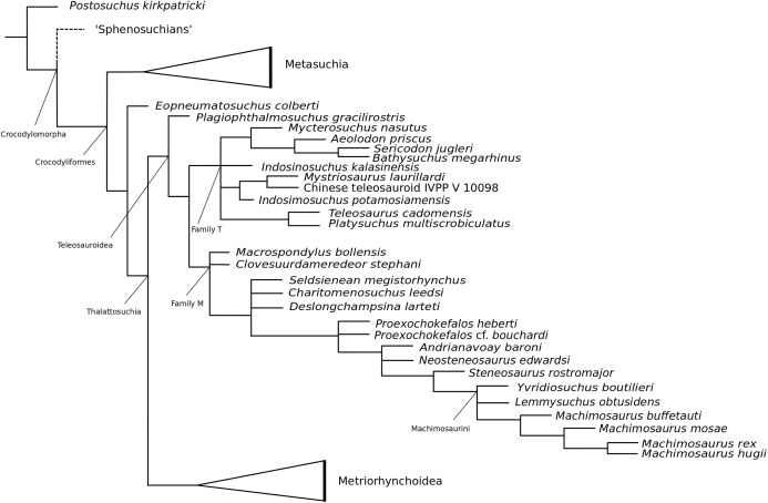 Figure 61