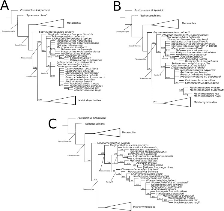 Figure 59