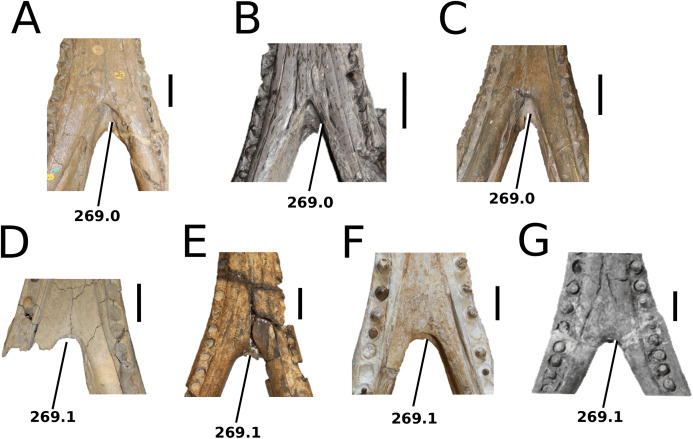 Figure 36