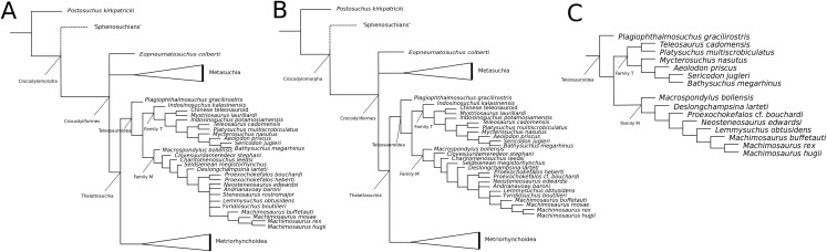 Figure 60