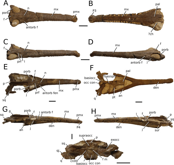 Figure 23