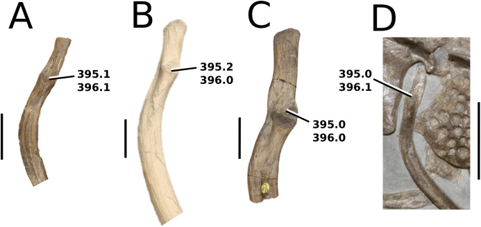 Figure 42