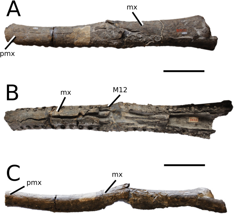 Figure 20