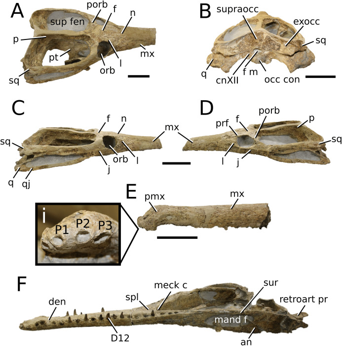 Figure 25