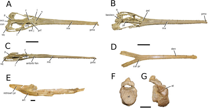 Figure 16