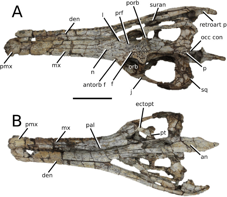 Figure 12