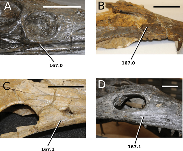 Figure 33