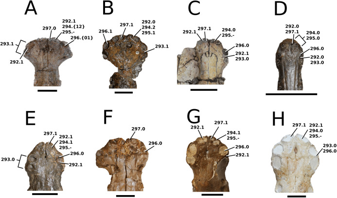 Figure 39