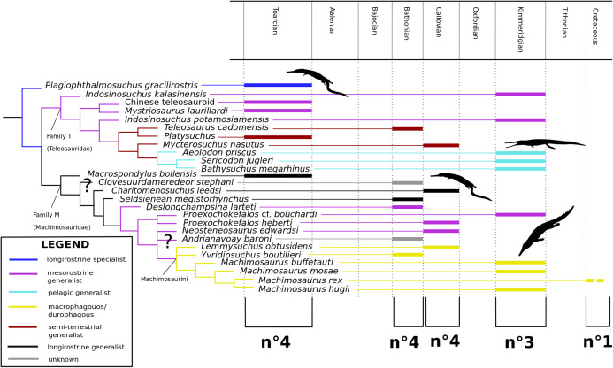 Figure 64