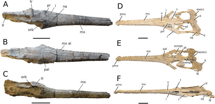 Figure 22