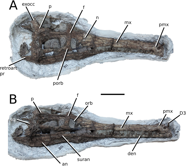 Figure 13