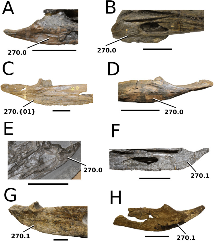 Figure 37