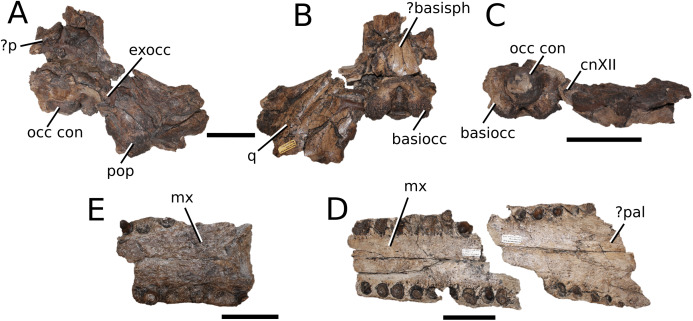 Figure 27