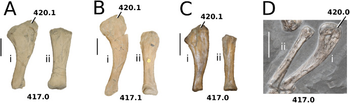 Figure 44