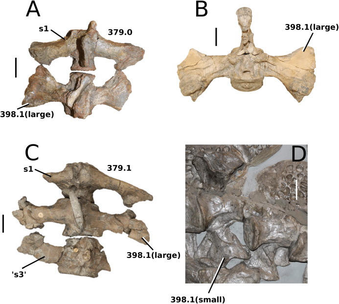 Figure 43