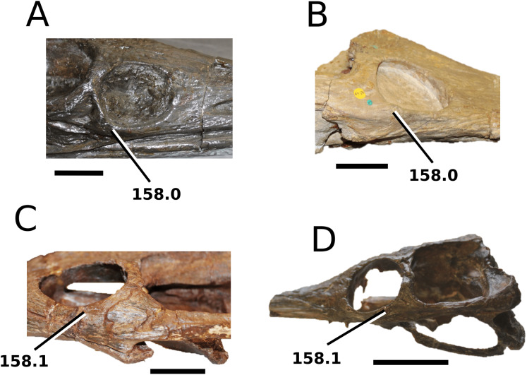 Figure 56