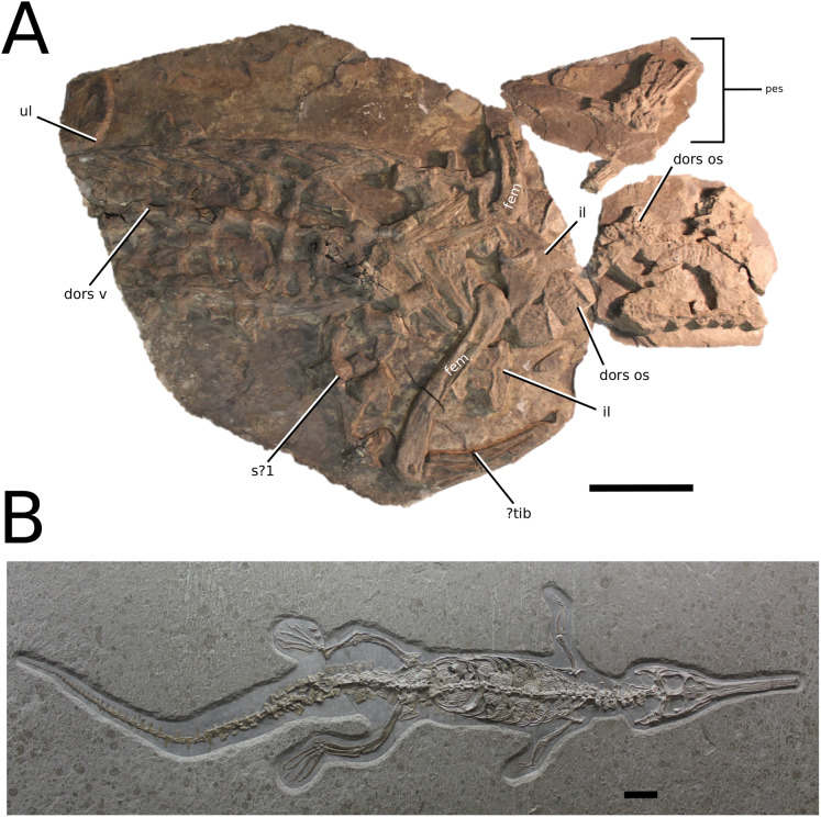 Figure 14