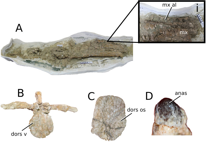 Figure 28