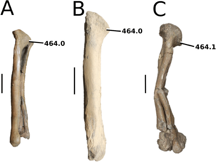 Figure 49