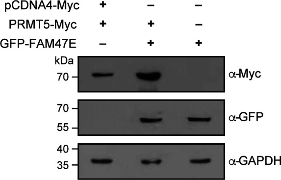 Figure S4.