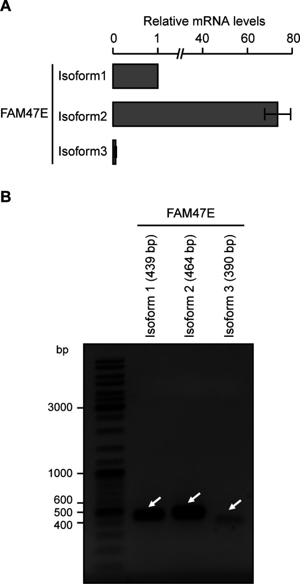 Figure S1.