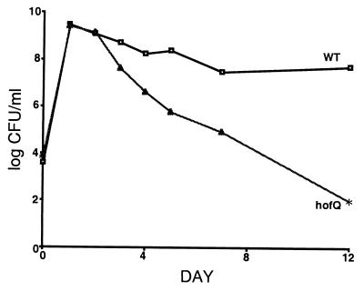 FIG. 5