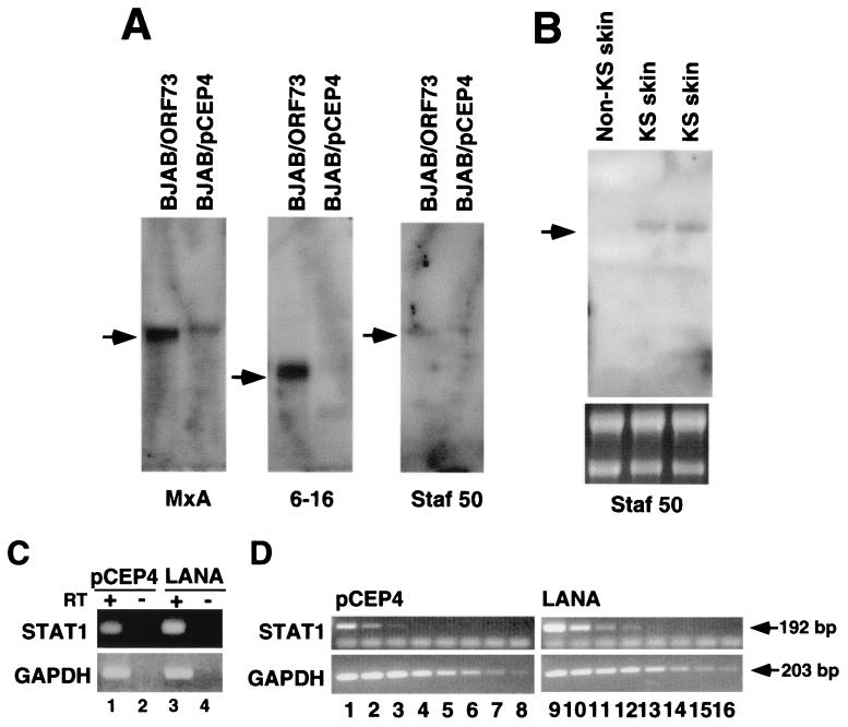 FIG. 6