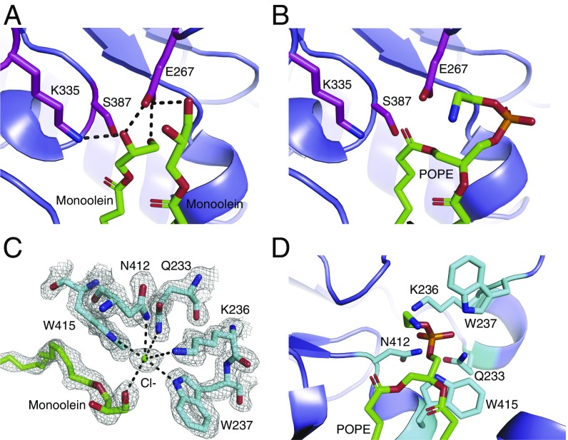 Fig. 4.