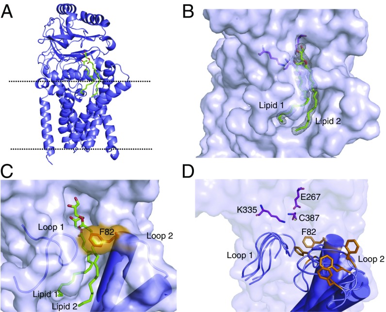 Fig. 3.