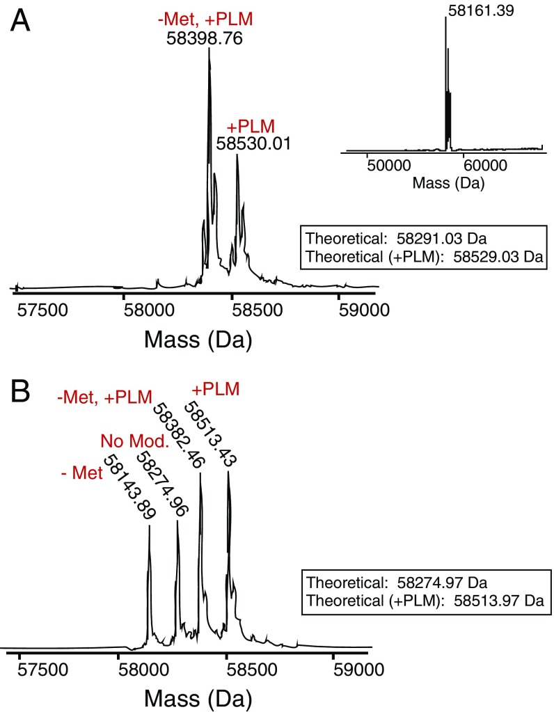 Fig. S4.