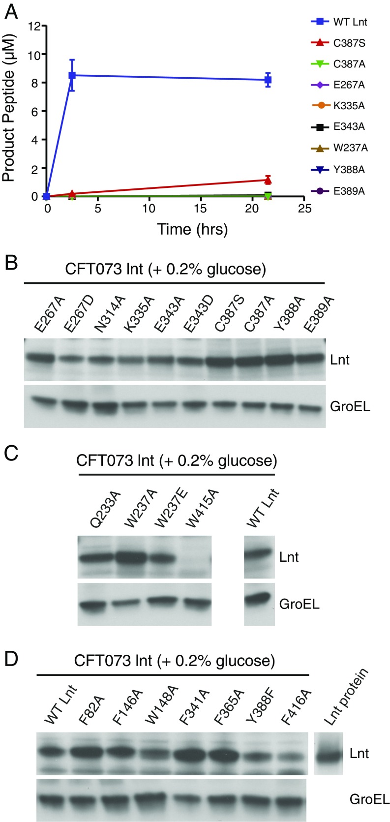 Fig. S6.