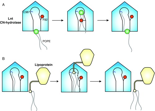 Fig. 6.